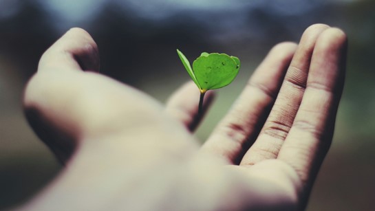 康茂峰医学翻译解读CDE发布的《关于试行以网络传输方式提交药品注册电子申报资料的通知》